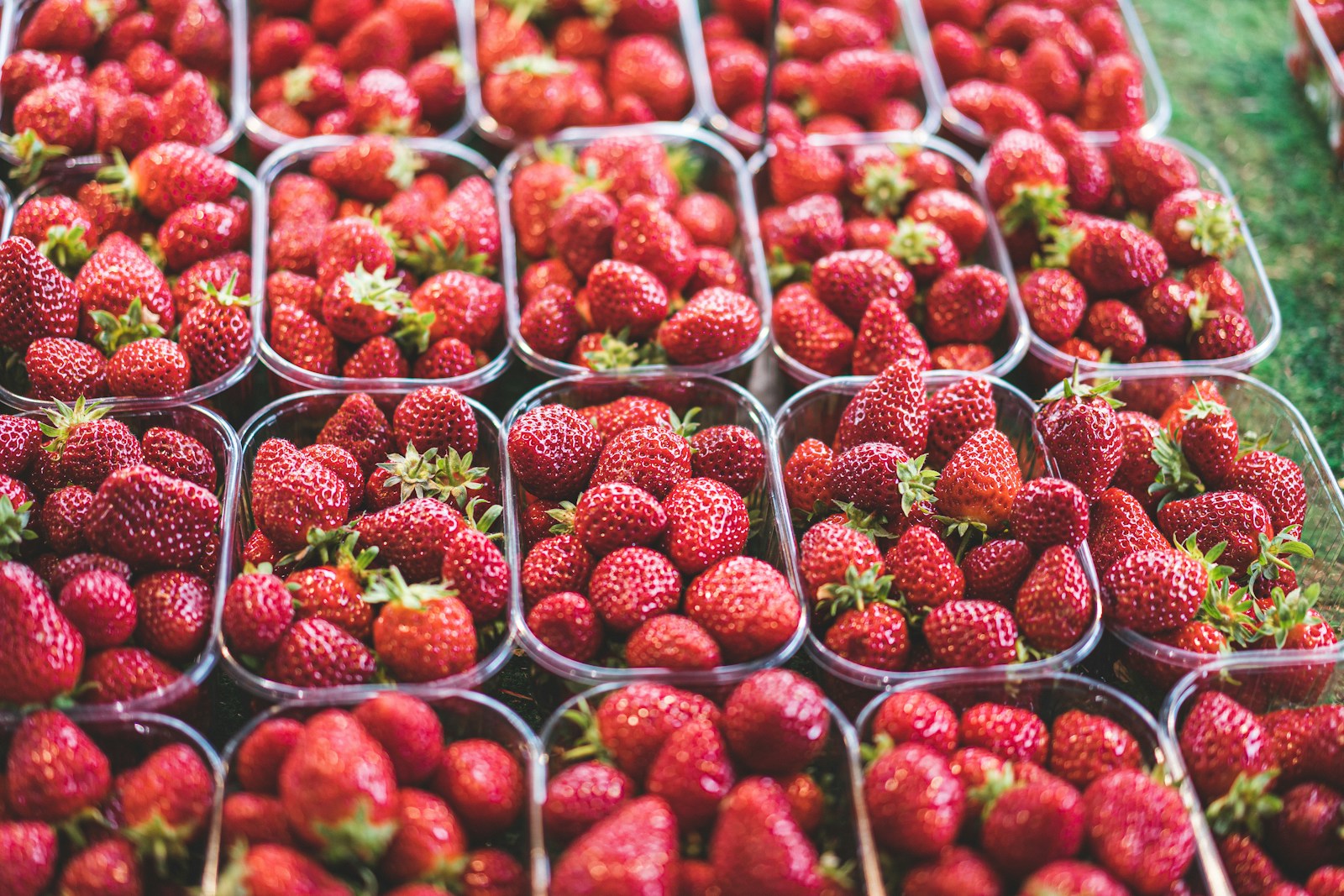 red strawberries in clear plastic container